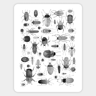 Ink Beetles and Bugs Magnet